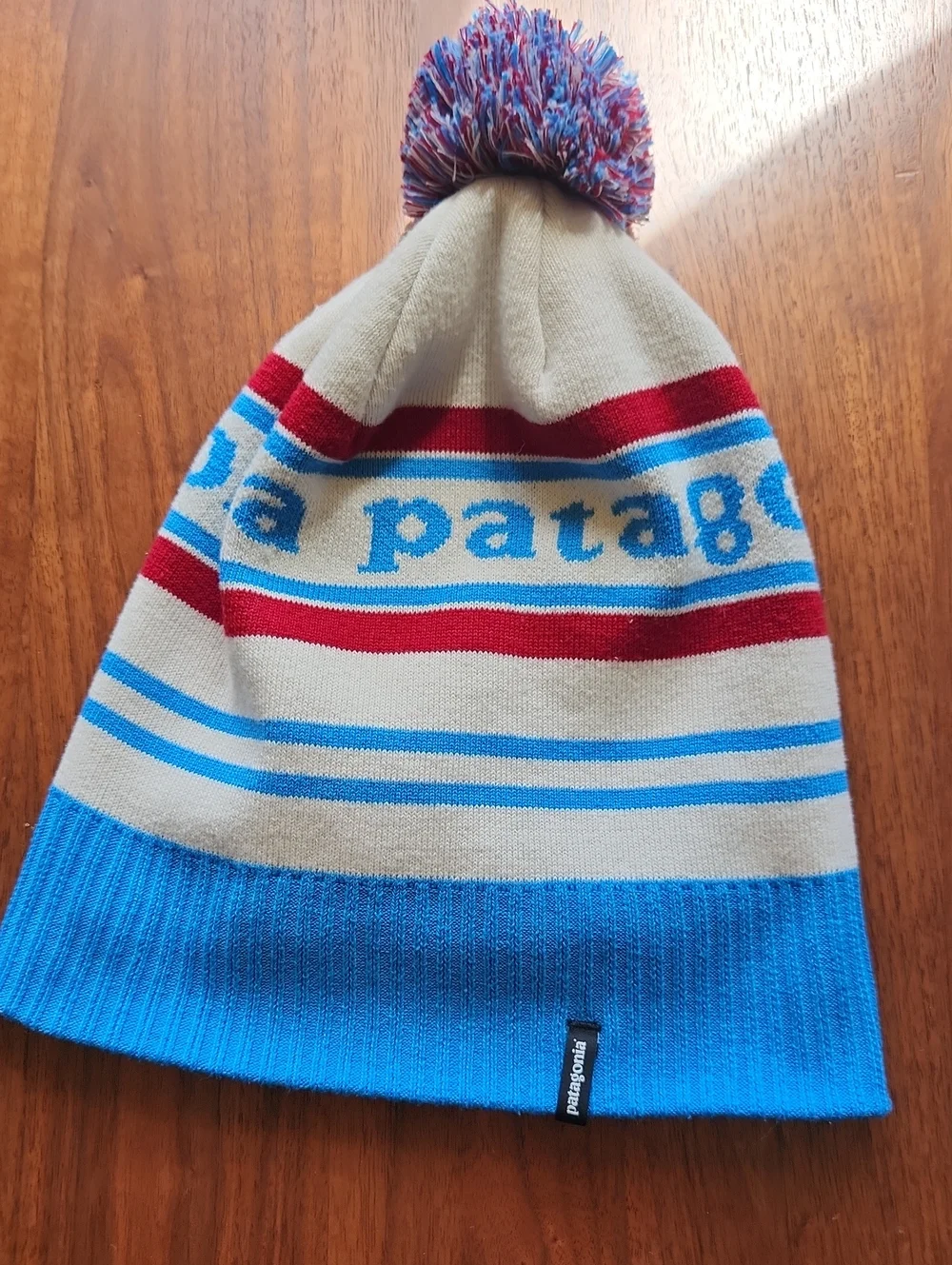 Patagonia Winter Beanie